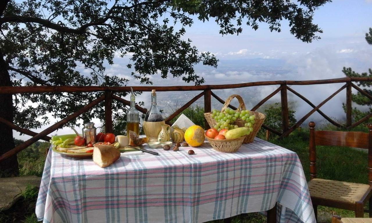 La Casa Gialla Belvedere Cortona Kültér fotó